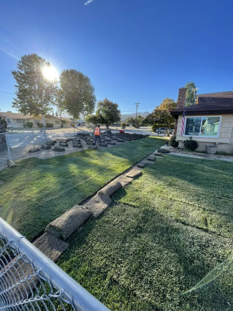 Custom lawn care service in Hemet, CA by Incredible Landscape