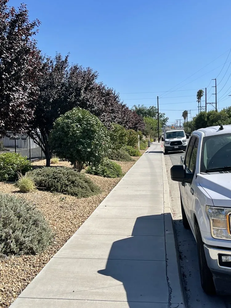 Custom yard maintenance experts serving Hemet, CA - Incredible Landscape