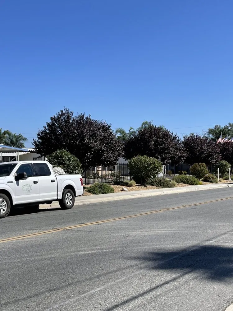 Affordable yard cleanup service for homes across Hemet, CA - Incredible Landscape