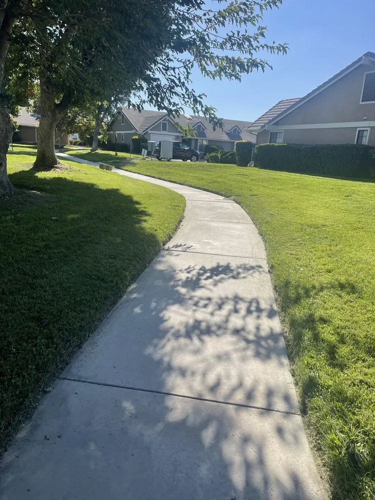 Top-rated yard cleanup service for homes across Hemet, CA - Incredible Landscape