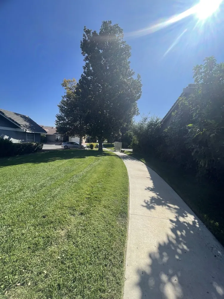 Local lawn mowing service experts serving Hemet, CA - Incredible Landscape