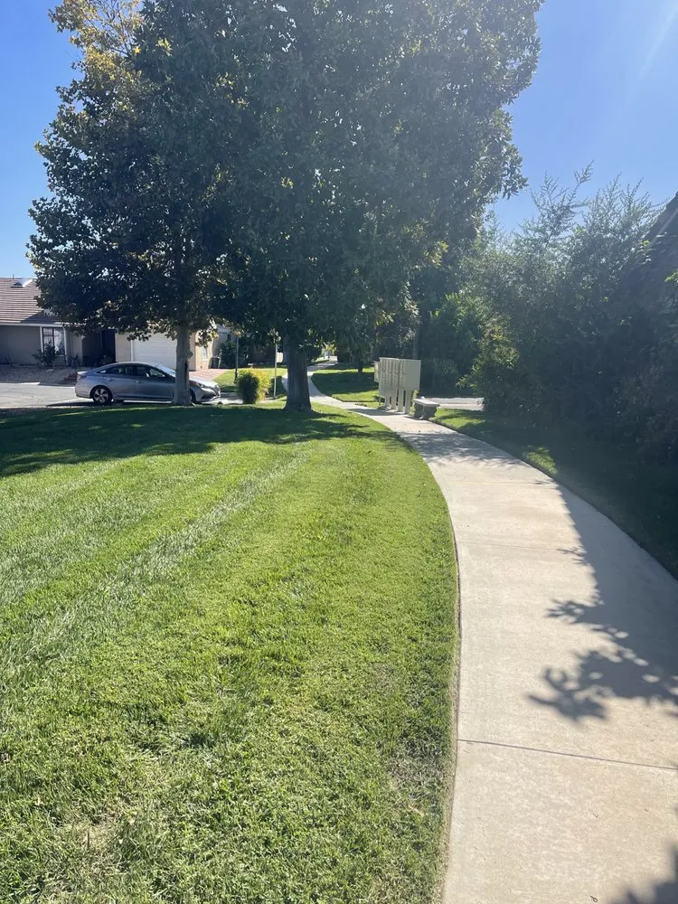 Expert outdoor landscaping for residential properties across Hemet, CA - Incredible Landscape