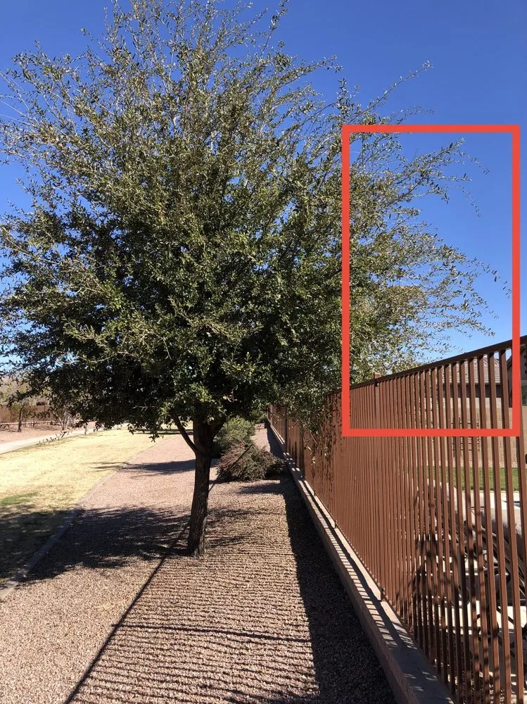 Top-rated landscape design experts serving Queen Creek, AZ - Incredible Landscape