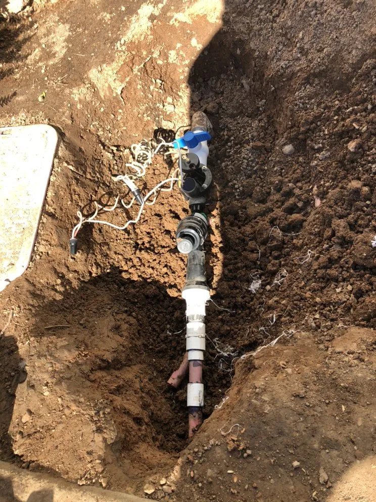 Affordable yard cleanup service in Queen Creek, AZ - Incredible Landscape