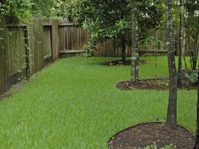 Affordable yard maintenance near you across Hampton, GA - Incredible Landscaping