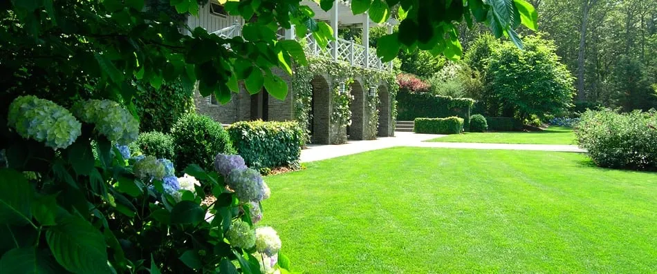 Local landscaping services experts serving Hampton, GA - Incredible Landscaping