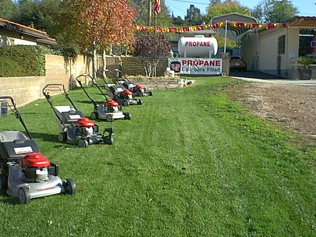 Affordable residential landscaping in Hampton, GA by Incredible Landscaping