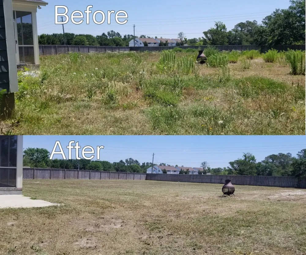 Professional landscape installation experts serving Hampstead, NC - Incredible Lawns and Gardens