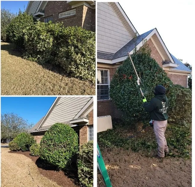 Local yard maintenance experts serving Hampstead, NC - Incredible Lawns and Gardens