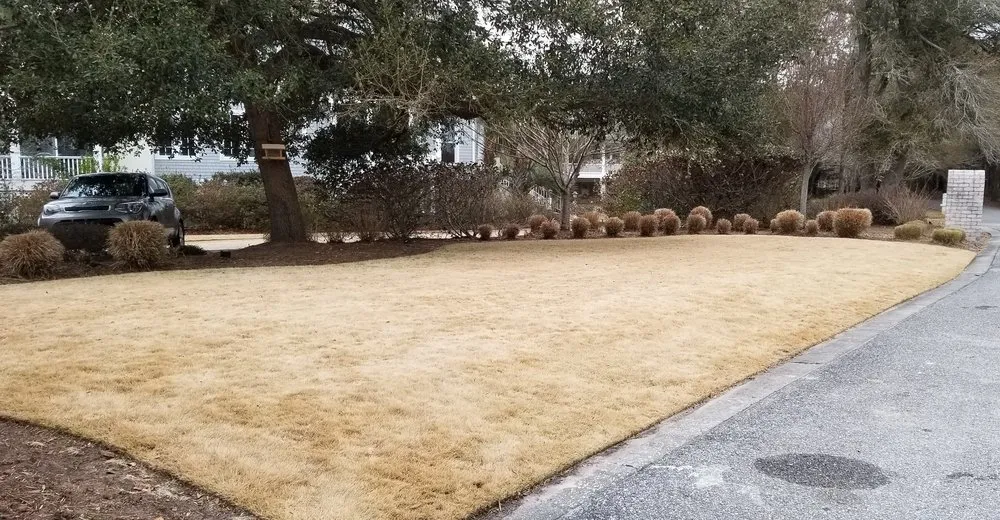 Affordable residential landscaping in Hampstead, NC by Incredible Lawns and Gardens