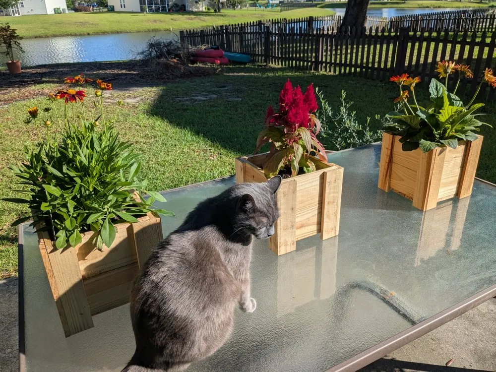 Custom residential landscaping for residential properties across Pooler, GA - Indeed Designs