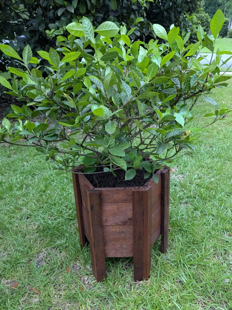 Reliable lawn care service in Pooler, GA - Indeed Designs