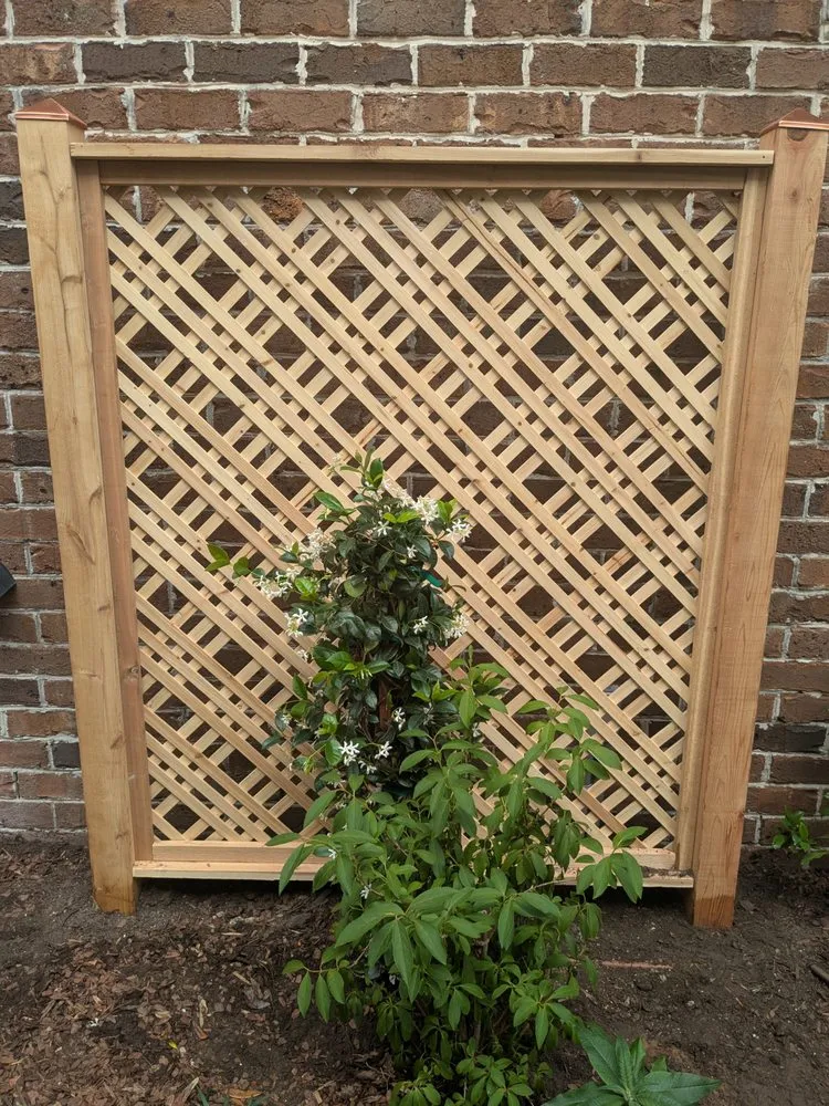 Expert landscape installation experts serving Pooler, GA - Indeed Designs