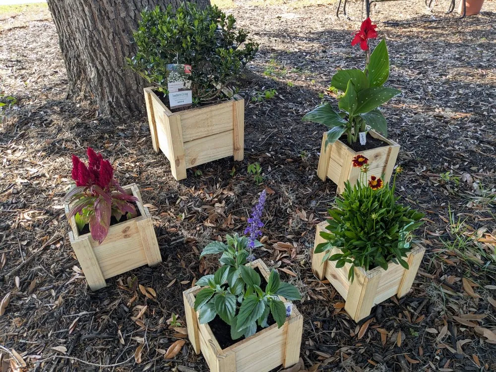 Local yard cleanup service for outdoor upgrades in Pooler, GA by Indeed Designs