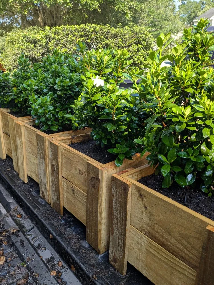 Expert garden landscaping for year-round maintenance across Pooler, GA - Indeed Designs