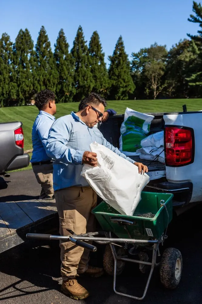 Expert yard cleanup service for beautiful yards in Lorton, VA by Independence Landscape