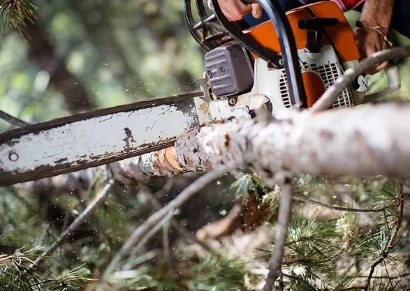 Trusted landscape design in Canyon Lake, TX - Independence Worx Services