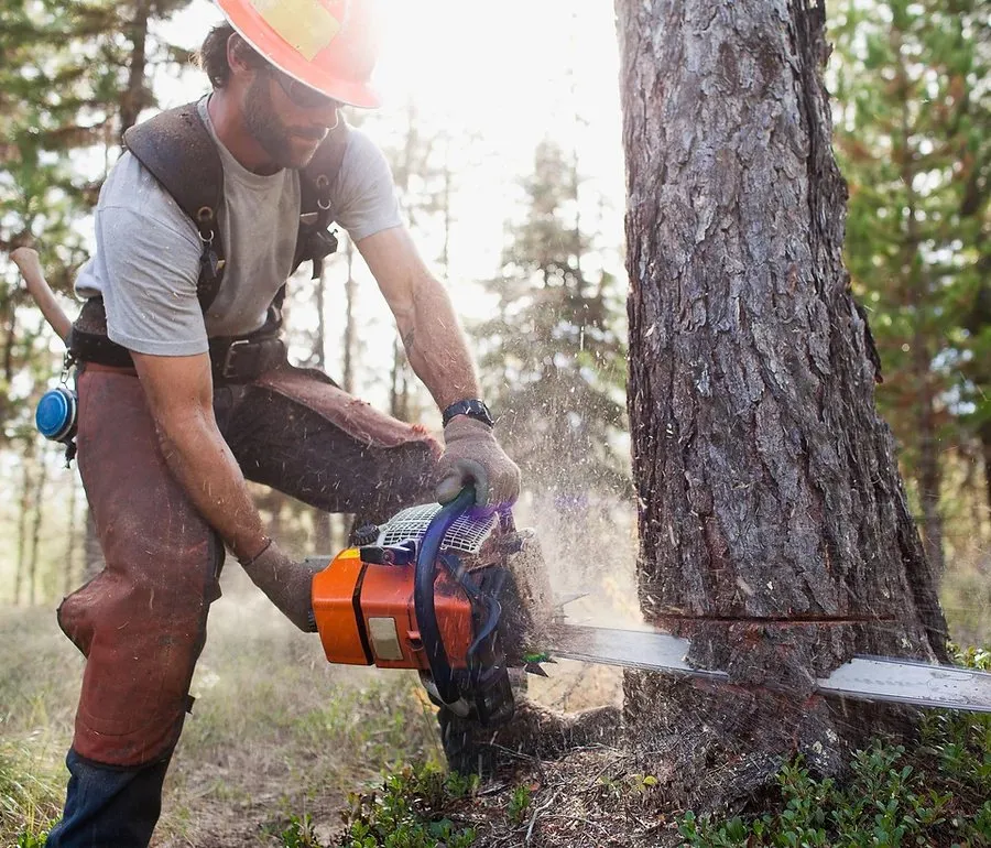 Reliable yard cleanup service in Canyon Lake, TX by Independence Worx Services
