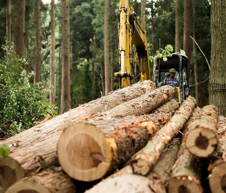 Local lawn mowing service for residential properties across Canyon Lake, TX - Independence Worx Services