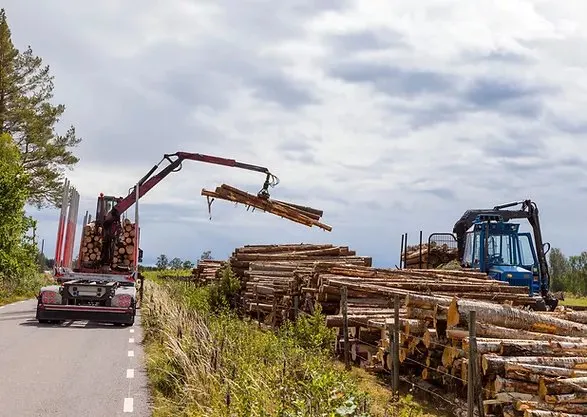 Expert lawn care service experts serving Canyon Lake, TX - Independence Worx Services