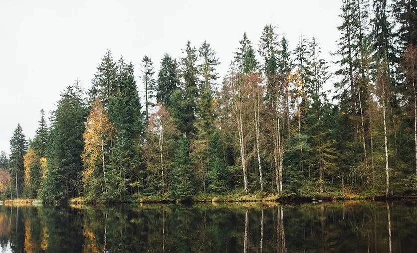 Reliable landscape design in Canyon Lake, TX by Independence Worx Services