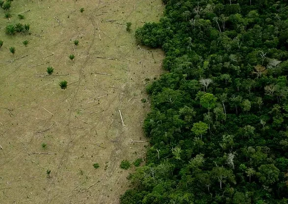 Trusted landscape design experts serving Canyon Lake, TX - Independence Worx Services