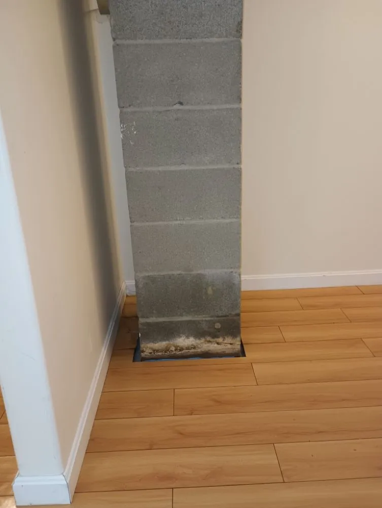 Expert yard maintenance for year-round maintenance across Newfane, VT - Independent Landscape & Property Management