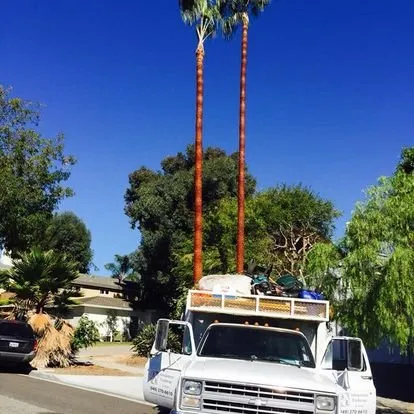 Expert landscape installation for residential properties across San Juan Capistrano, CA - Independent Landscape