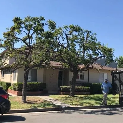 Expert yard maintenance in San Juan Capistrano, CA - Independent Landscape