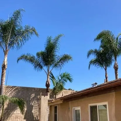 Professional lawn mowing service for residential properties across San Juan Capistrano, CA - Independent Landscape