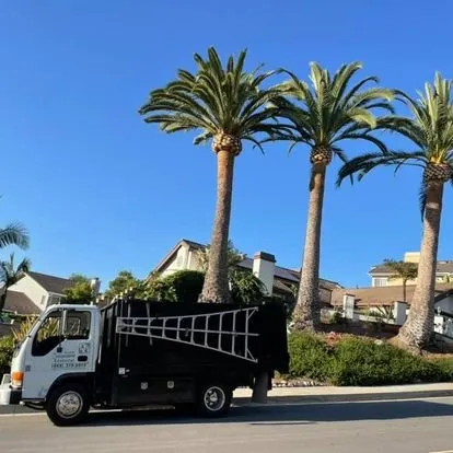 Expert garden landscaping for year-round maintenance across San Juan Capistrano, CA - Independent Landscape