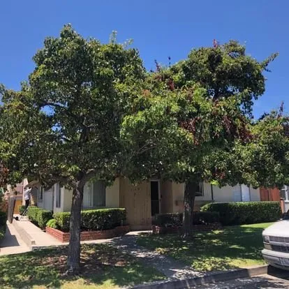 Trusted yard cleanup service in San Juan Capistrano, CA by Independent Landscape