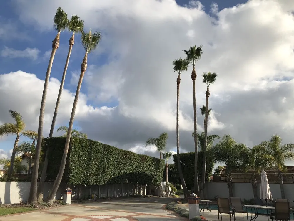 Local landscape design for beautiful yards in San Juan Capistrano, CA by Independent Landscape
