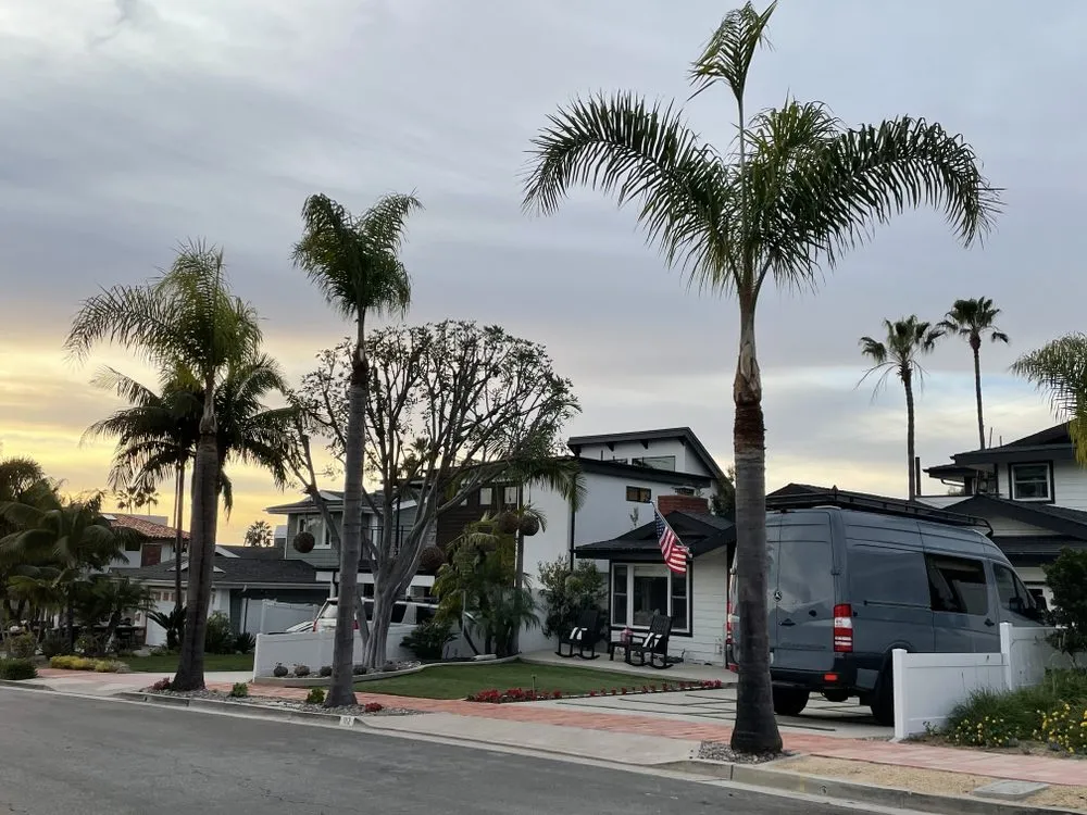 Expert landscaping services in San Juan Capistrano, CA by Independent Landscape