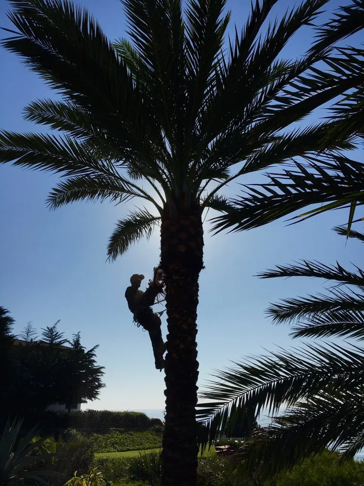 Expert garden landscaping experts serving San Juan Capistrano, CA - Independent Landscape