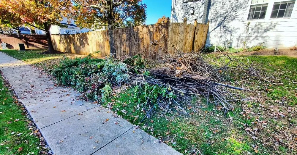 Expert lawn care service for beautiful yards across Thurmont, MD - Independent Lawn Care