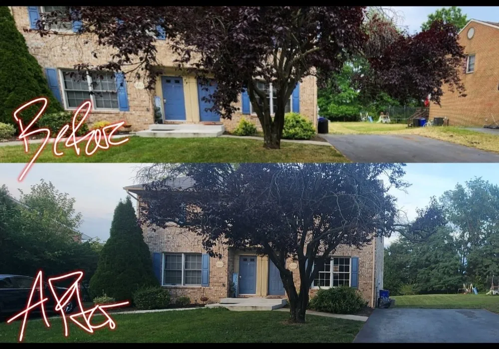 Affordable lawn mowing service in Thurmont, MD by Independent Lawn Care