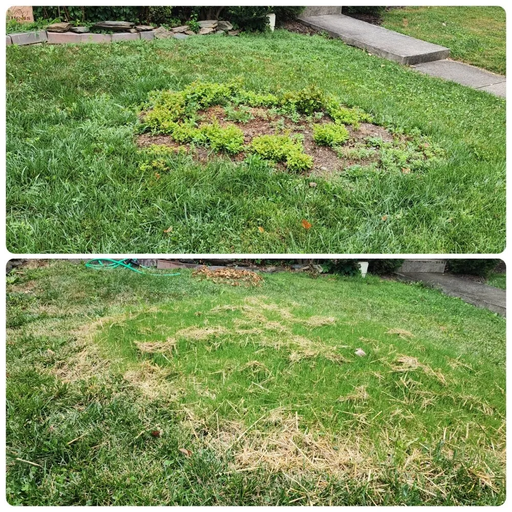 Reliable landscape installation near you across Thurmont, MD - Independent Lawn Care