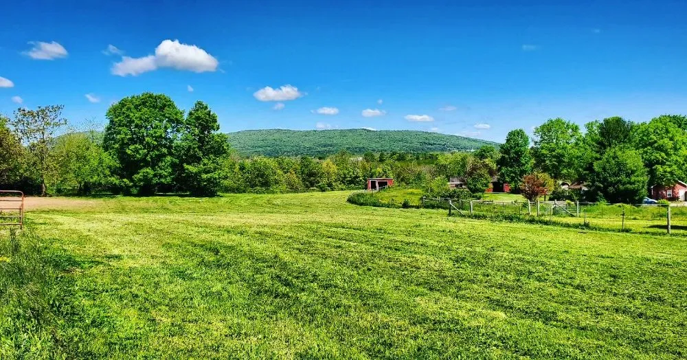 Top-rated yard cleanup service experts serving Thurmont, MD - Independent Lawn Care