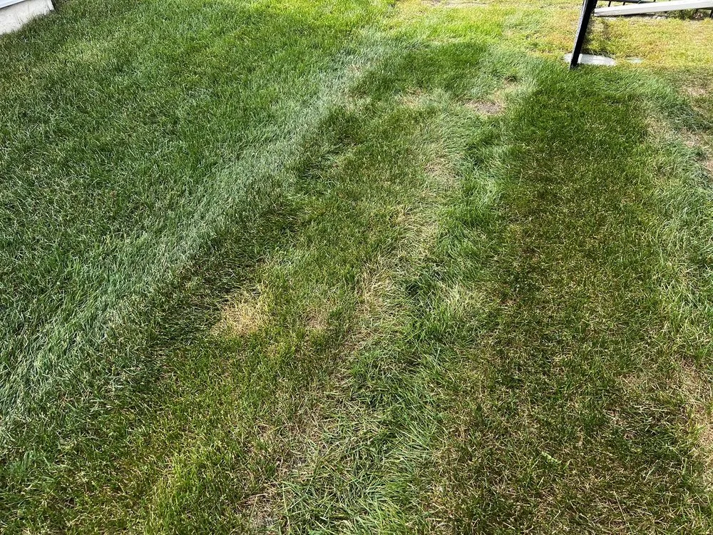 Professional lawn care service for residential properties across Livonia, MI - Independent Lawn Service