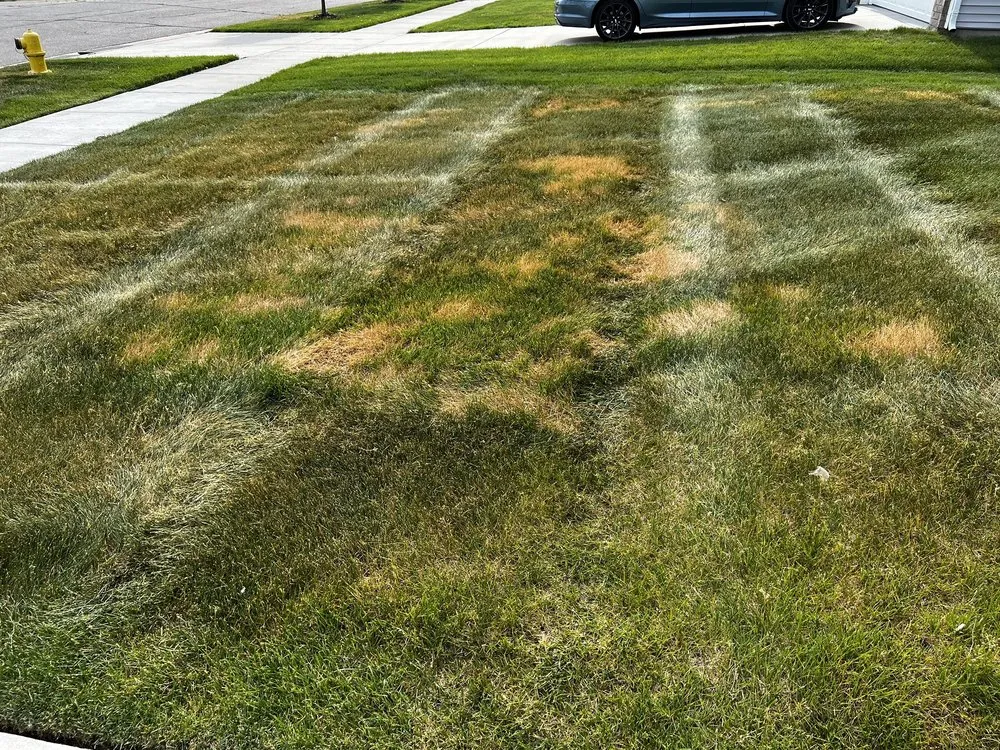 Affordable residential landscaping experts serving Livonia, MI - Independent Lawn Service