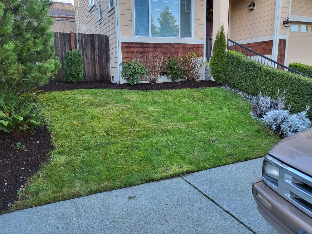 Top-rated landscape installation for outdoor upgrades in Seattle, WA by Independent Martinez Landscaping