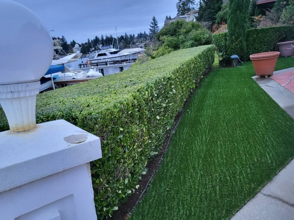 Trusted yard cleanup service in Seattle, WA by Independent Martinez Landscaping