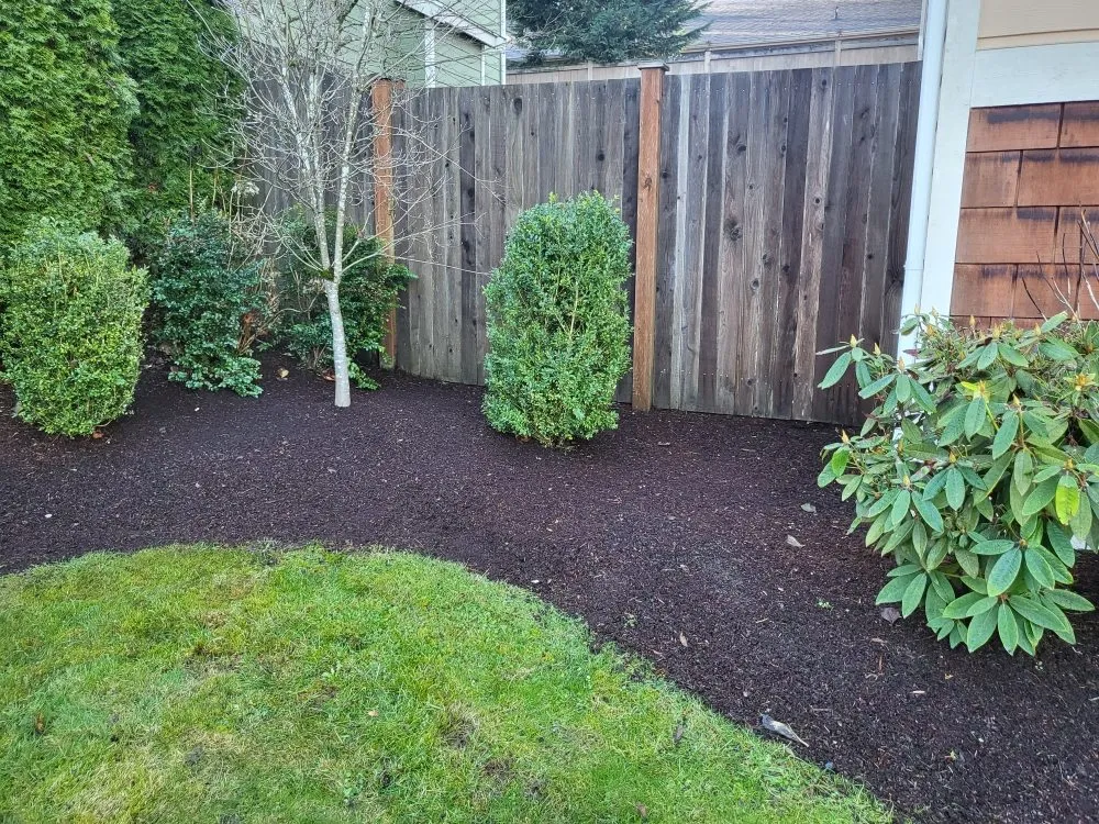 Local landscape installation near you across Seattle, WA - Independent Martinez Landscaping