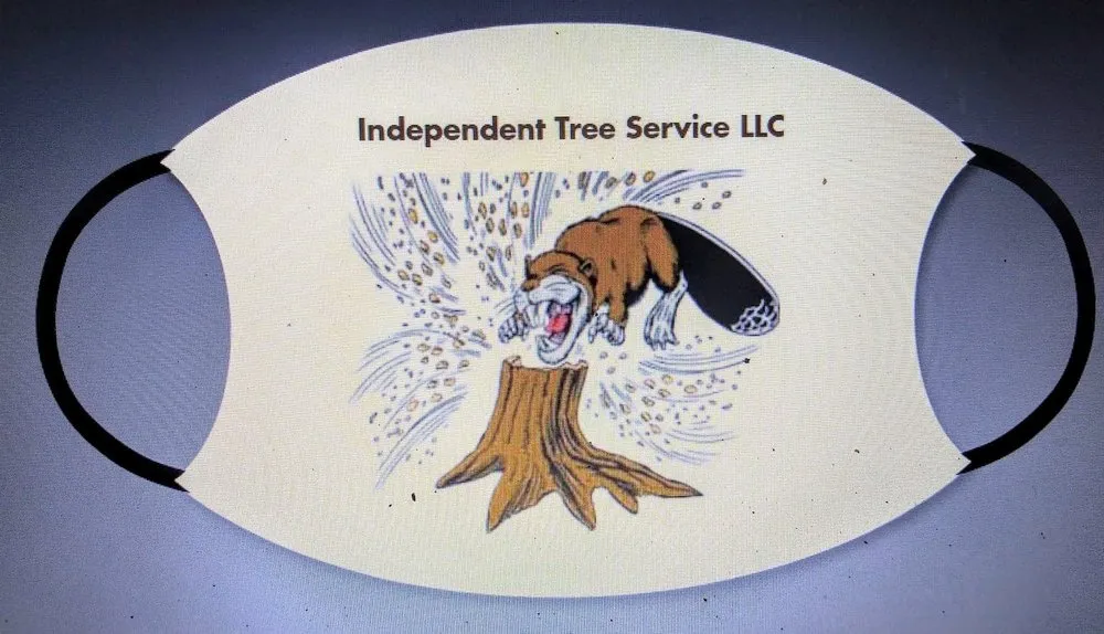 Top-rated outdoor landscaping in Rome, GA - Independent Tree Service