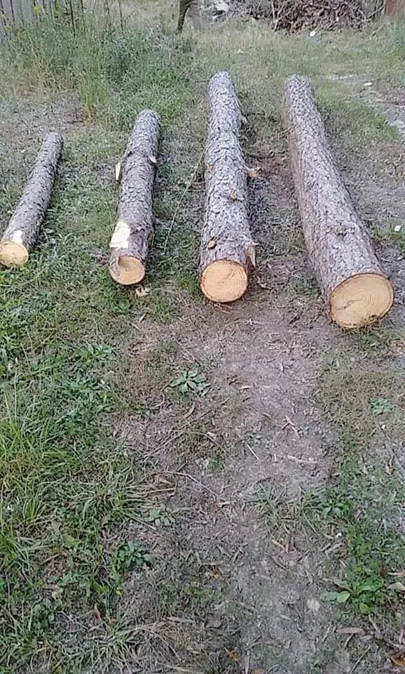 Local landscaping services in Rome, GA by Independent Tree Service