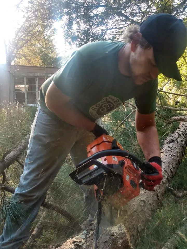 Affordable outdoor landscaping experts serving Rome, GA - Independent Tree Service