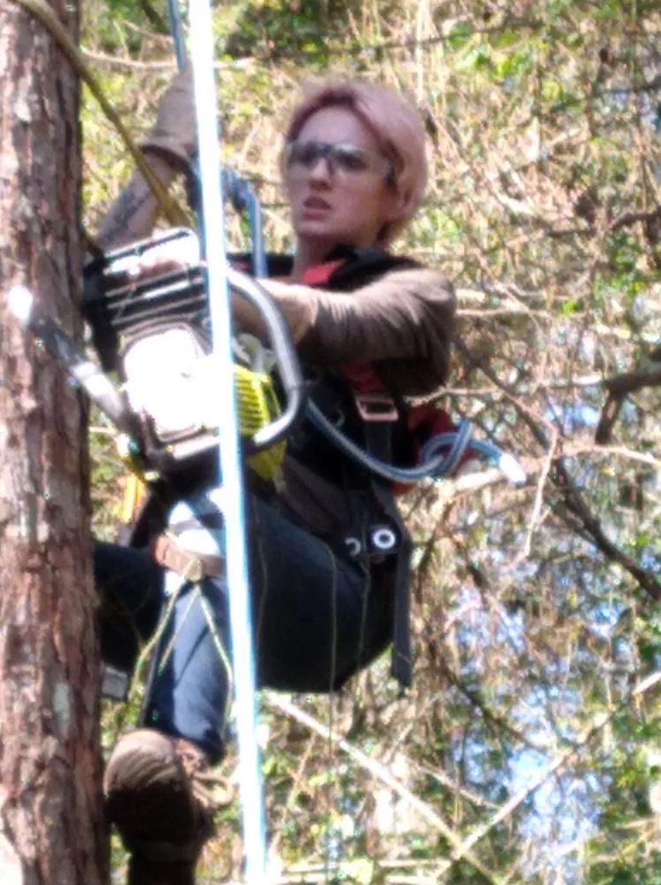 Custom yard cleanup service in Rome, GA by Independent Tree Service