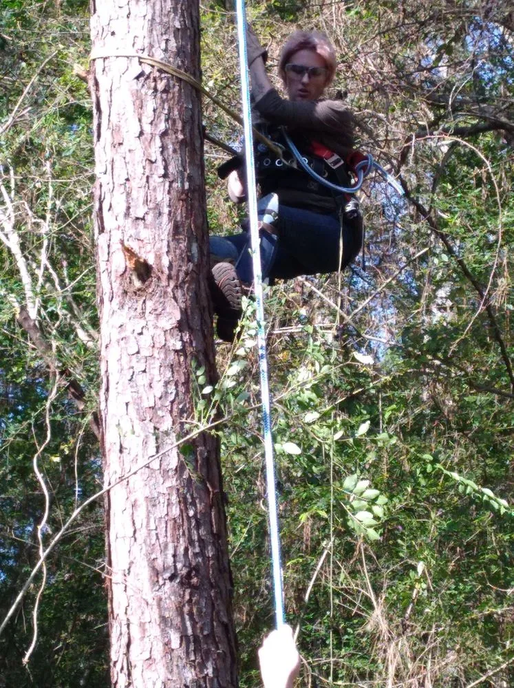 Expert yard cleanup service in Rome, GA - Independent Tree Service