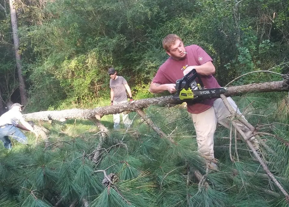 Reliable outdoor landscaping experts serving Rome, GA - Independent Tree Service